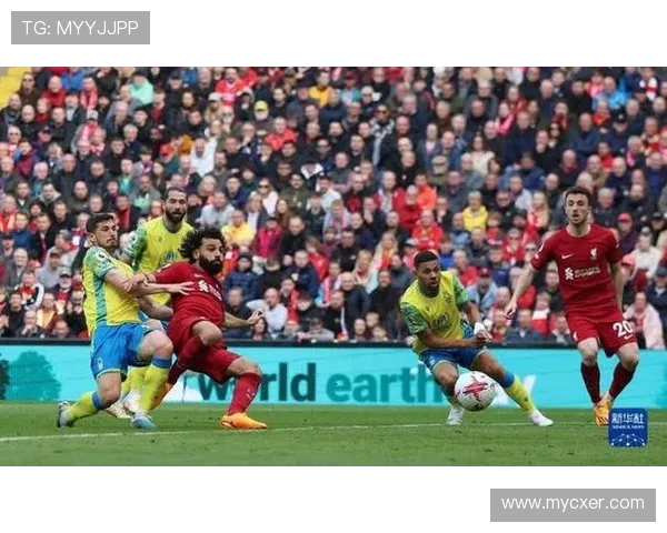 法比尼奥谈与若塔的关系：共同点让他难以置信这一切竟然真实